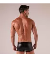 Boxer Master