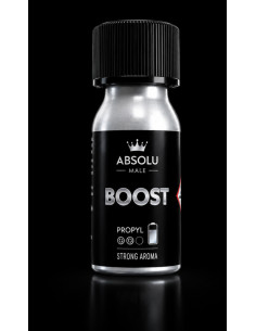 Boost  - nettoyant pour cuir| Absolu Male