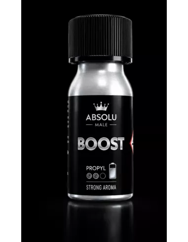 Boost  - nettoyant pour cuir| Absolu Male
